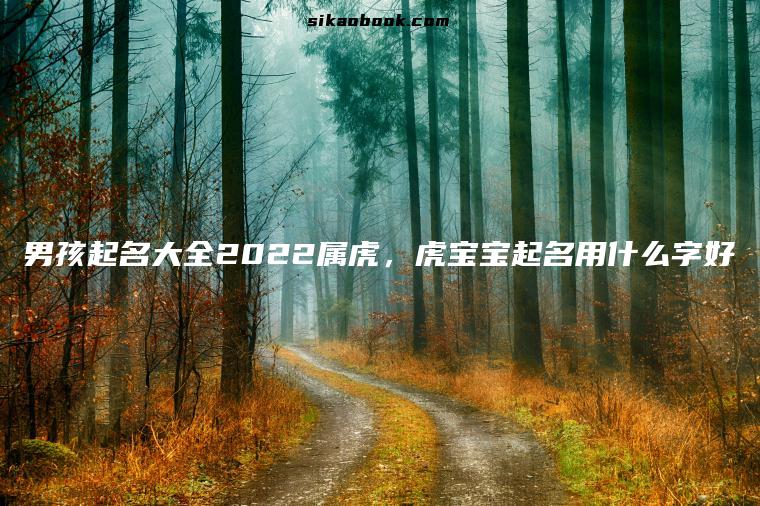 男孩起名大全2022属虎，虎宝宝起名用什么字好
