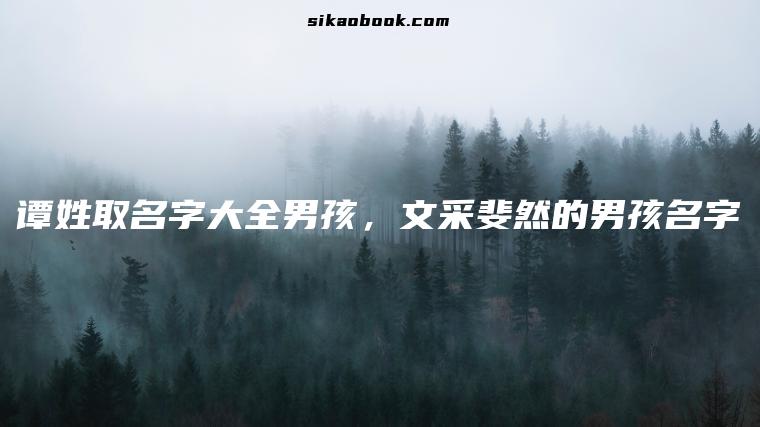 谭姓取名字大全男孩，文采斐然的男孩名字