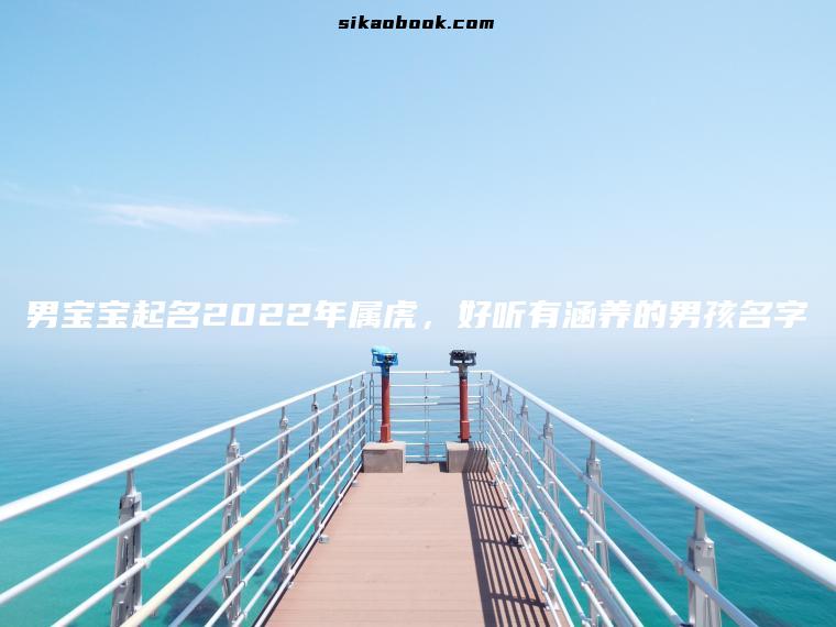男宝宝起名2022年属虎，好听有涵养的男孩名字