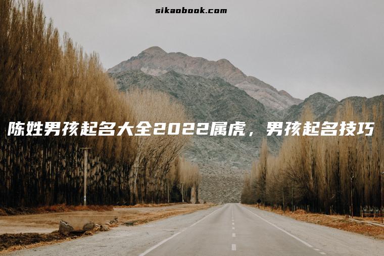 陈姓男孩起名大全2022属虎，男孩起名技巧
