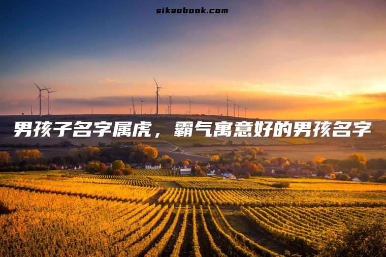 男孩子名字属虎，霸气寓意好的男孩名字
