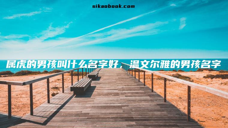 属虎的男孩叫什么名字好，温文尔雅的男孩名字