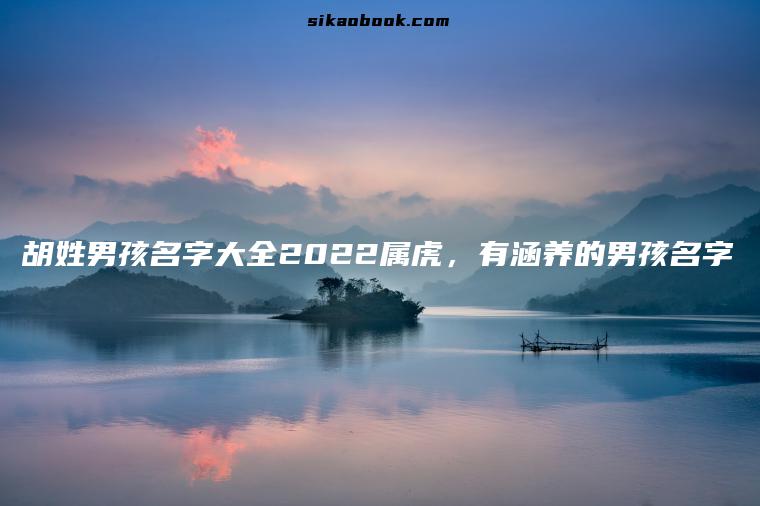 胡姓男孩名字大全2022属虎，有涵养的男孩名字
