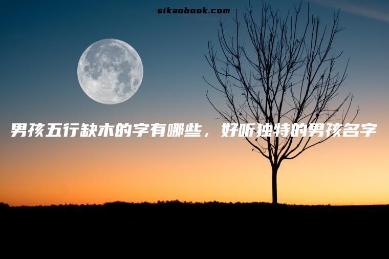 男孩五行缺木的字有哪些，好听独特的男孩名字