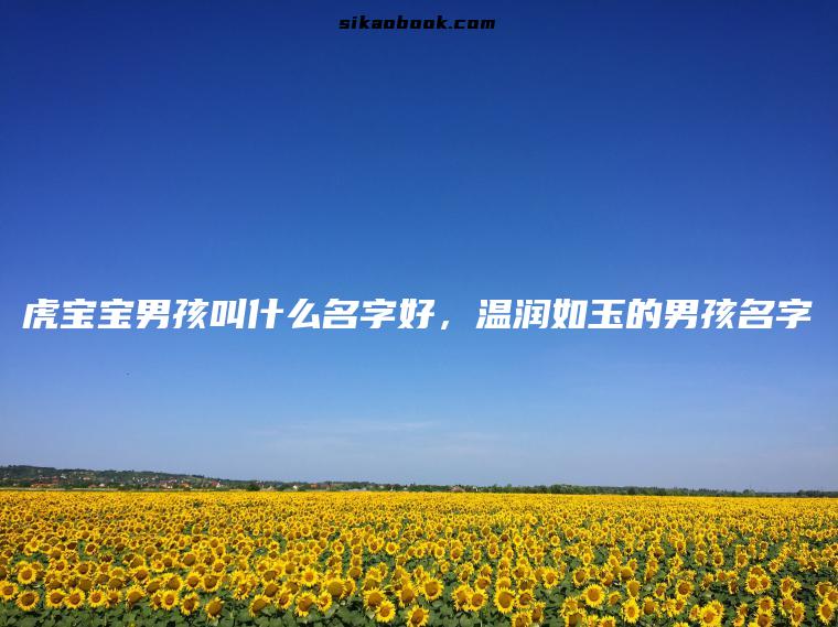 虎宝宝男孩叫什么名字好，温润如玉的男孩名字