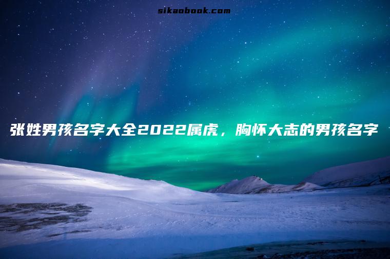 张姓男孩名字大全2022属虎，胸怀大志的男孩名字