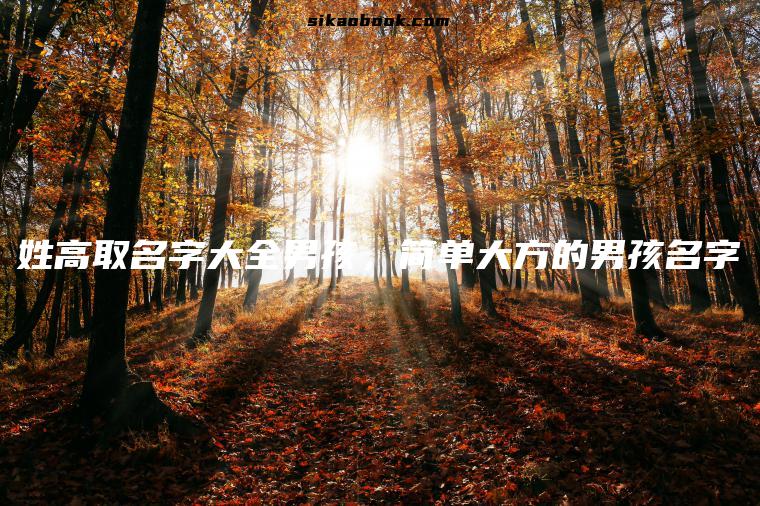 姓高取名字大全男孩，简单大方的男孩名字