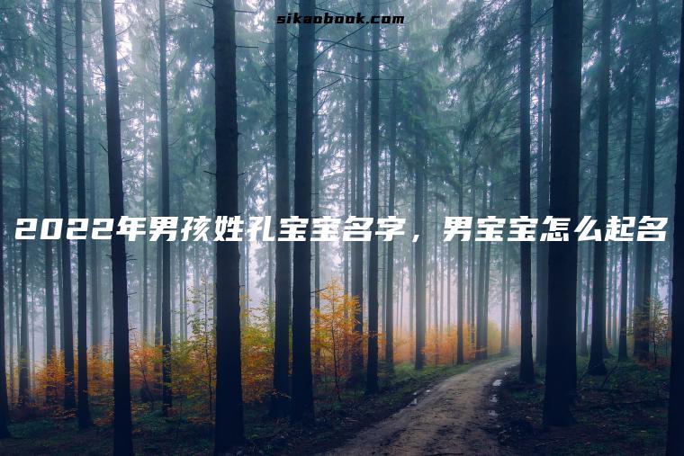2022年男孩姓孔宝宝名字，男宝宝怎么起名