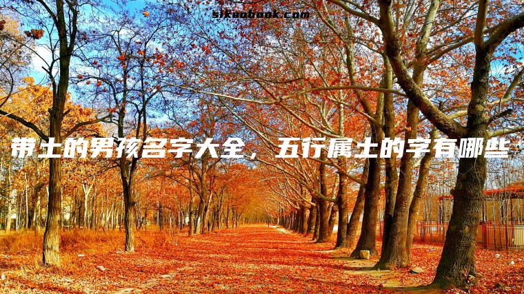 带土的男孩名字大全，五行属土的字有哪些