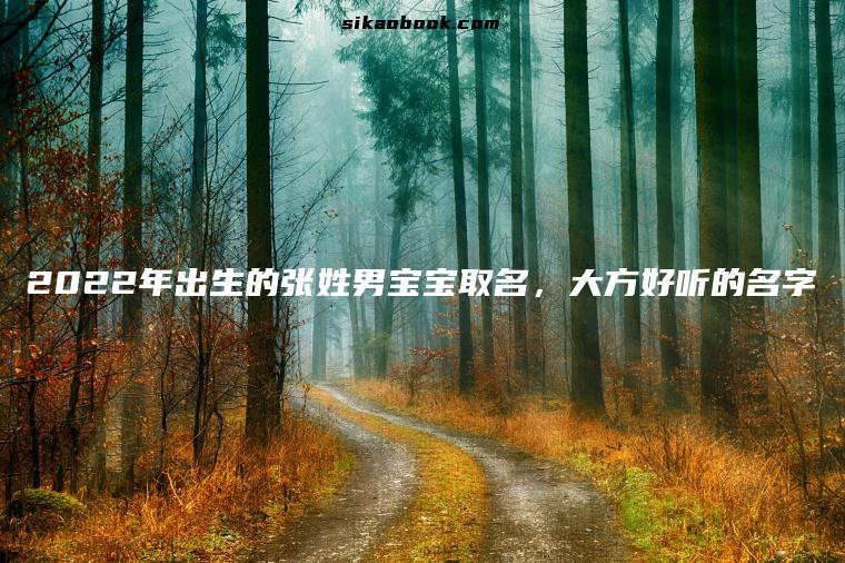2022年出生的张姓男宝宝取名，大方好听的名字