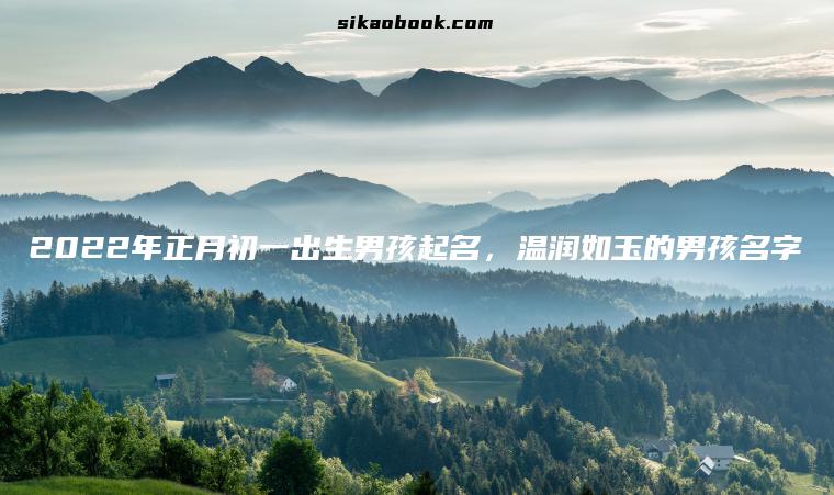 2022年正月初一出生男孩起名，温润如玉的男孩名字