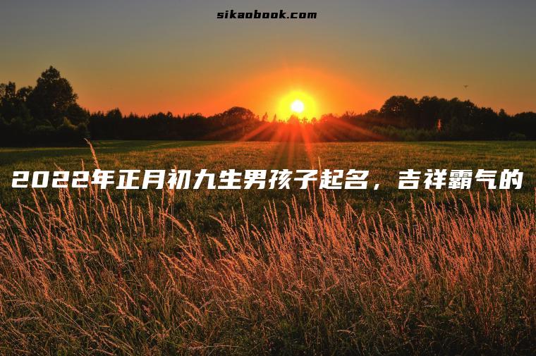 2022年正月初九生男孩子起名，吉祥霸气的