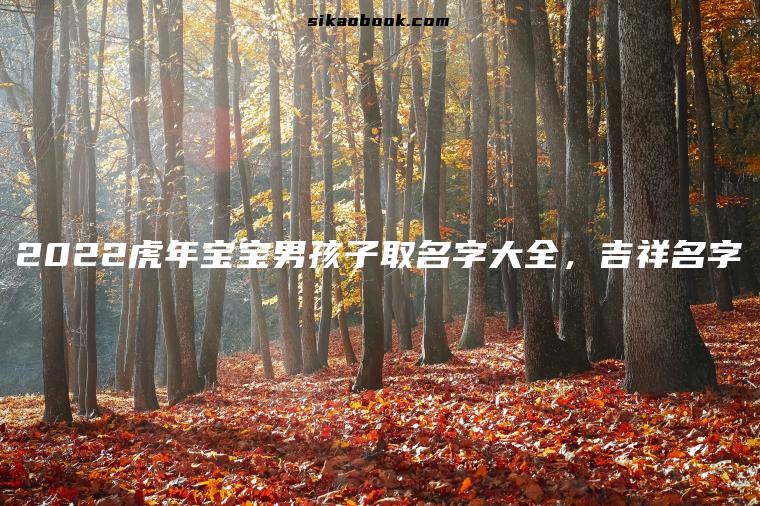 2022虎年宝宝男孩子取名字大全，吉祥名字