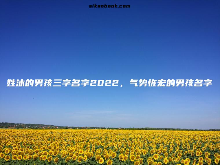 姓沐的男孩三字名字2022，气势恢宏的男孩名字