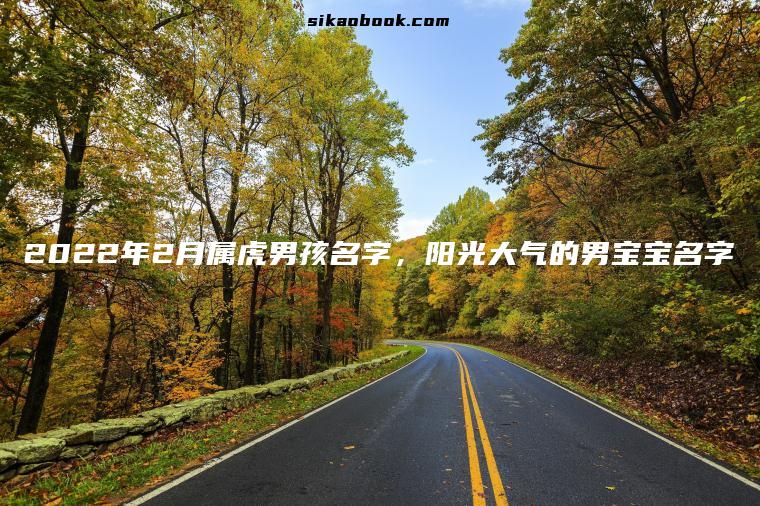2022年2月属虎男孩名字，阳光大气的男宝宝名字