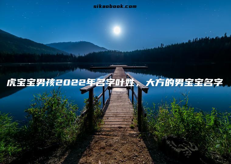 虎宝宝男孩2022年名字叶姓，大方的男宝宝名字