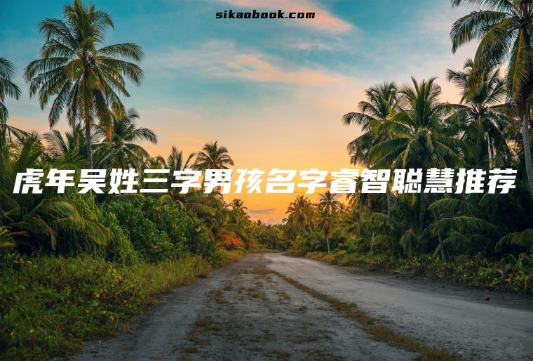 虎年吴姓三字男孩名字睿智聪慧推荐