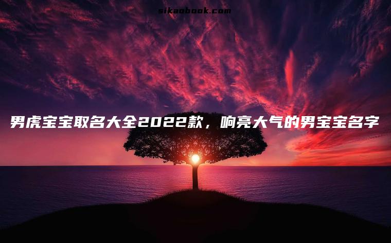 男虎宝宝取名大全2022款，响亮大气的男宝宝名字