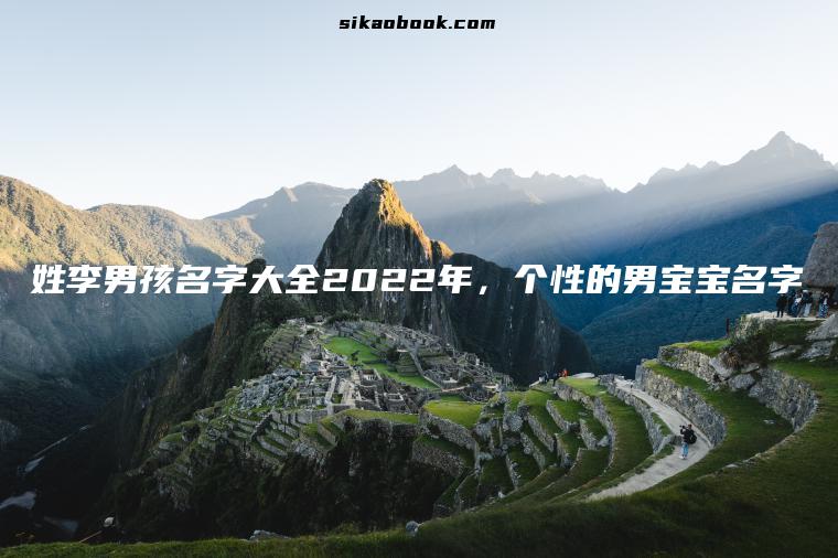 姓李男孩名字大全2022年，个性的男宝宝名字