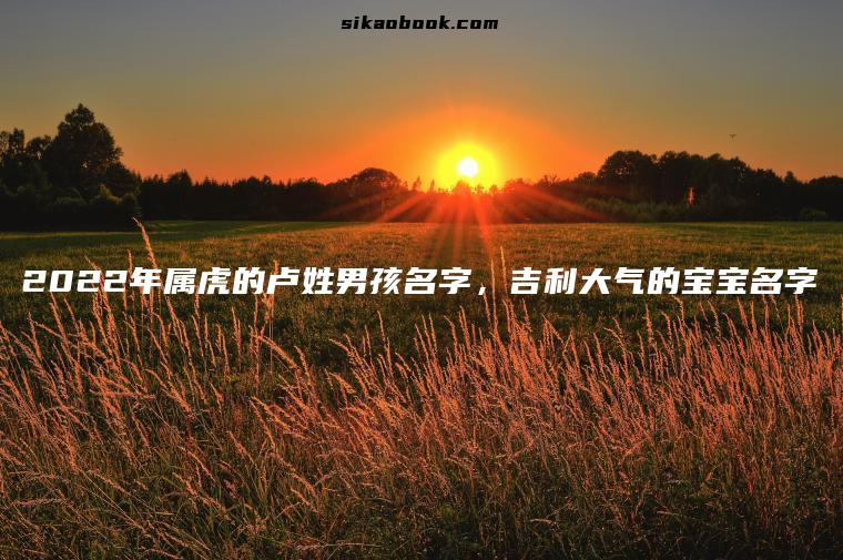 2022年属虎的卢姓男孩名字，吉利大气的宝宝名字