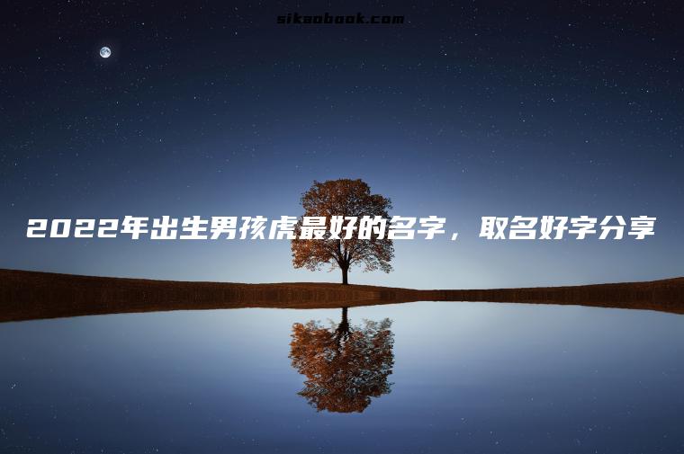 2022年出生男孩虎最好的名字，取名好字分享