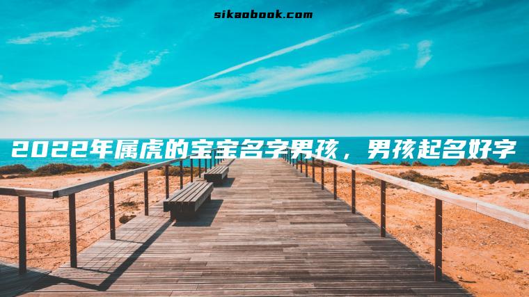 2022年属虎的宝宝名字男孩，男孩起名好字