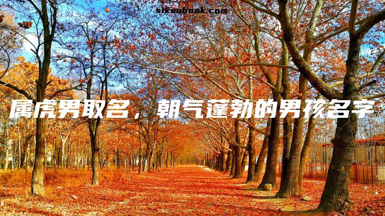 属虎男取名，朝气蓬勃的男孩名字