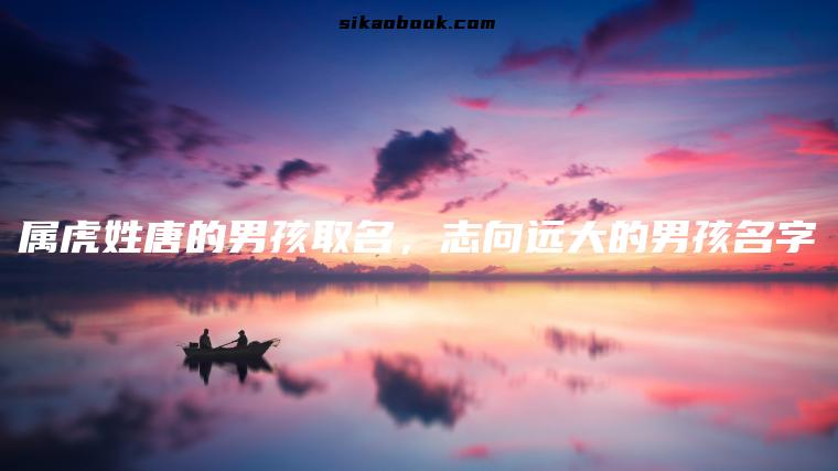 属虎姓唐的男孩取名，志向远大的男孩名字
