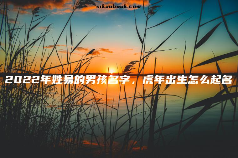 2022年姓易的男孩名字，虎年出生怎么起名