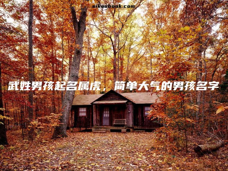 武姓男孩起名属虎，简单大气的男孩名字