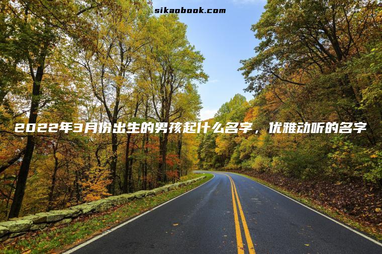 2022年3月份出生的男孩起什么名字，优雅动听的名字