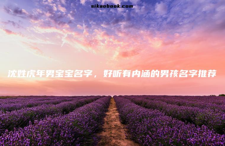 沈姓虎年男宝宝名字，好听有内涵的男孩名字推荐