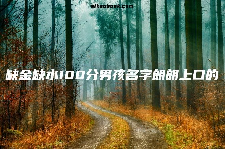 缺金缺水100分男孩名字朗朗上口的