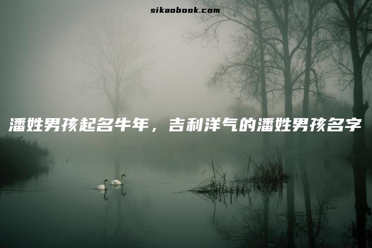 潘姓男孩起名牛年，吉利洋气的潘姓男孩名字