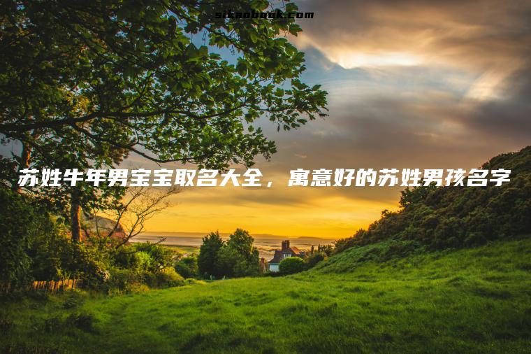 苏姓牛年男宝宝取名大全，寓意好的苏姓男孩名字