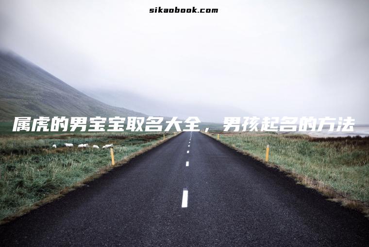 属虎的男宝宝取名大全，男孩起名的方法