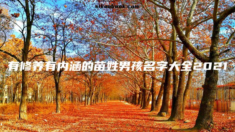 有修养有内涵的苗姓男孩名字大全2021