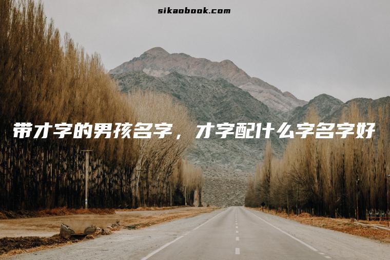 带才字的男孩名字，才字配什么字名字好