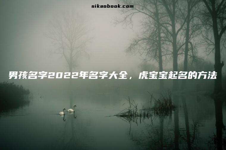 男孩名字2022年名字大全，虎宝宝起名的方法