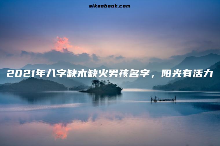 2021年八字缺木缺火男孩名字，阳光有活力