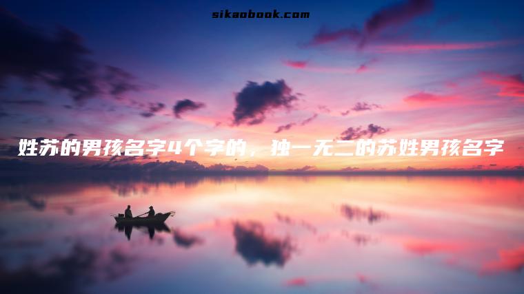 姓苏的男孩名字4个字的，独一无二的苏姓男孩名字