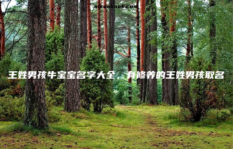 王姓男孩牛宝宝名字大全，有修养的王姓男孩取名