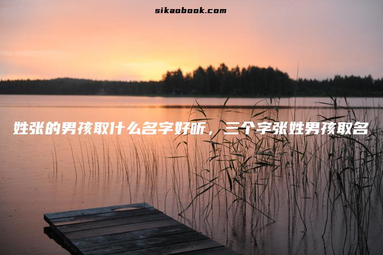 姓张的男孩取什么名字好听，三个字张姓男孩取名