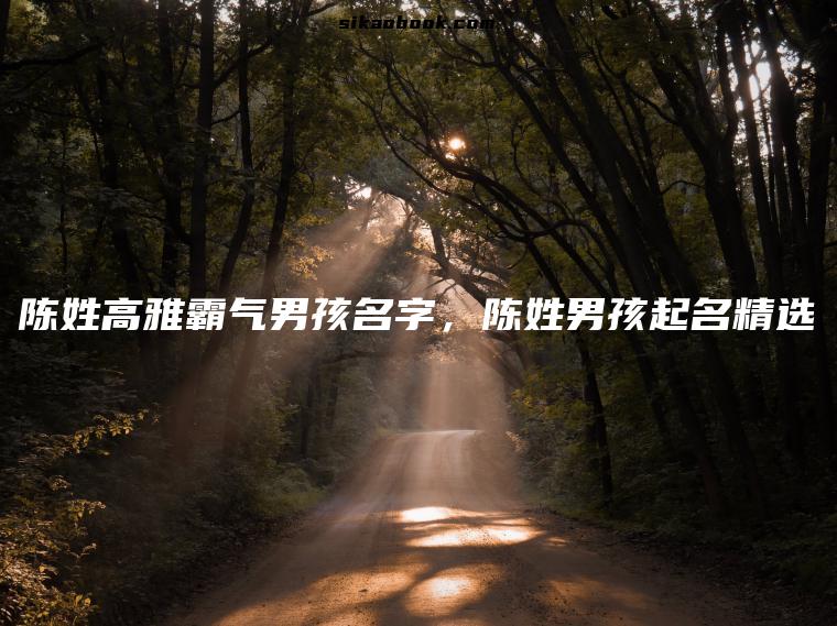 陈姓高雅霸气男孩名字，陈姓男孩起名精选