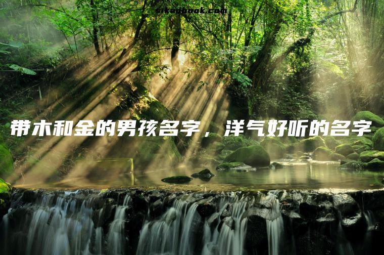 带木和金的男孩名字，洋气好听的名字