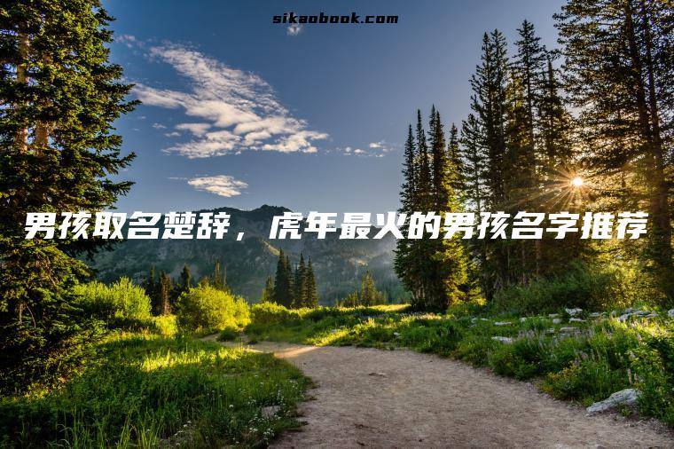 男孩取名楚辞，虎年最火的男孩名字推荐