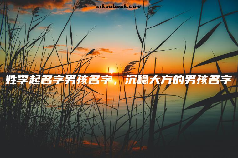 姓李起名字男孩名字，沉稳大方的男孩名字