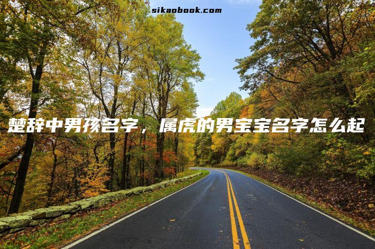 楚辞中男孩名字，属虎的男宝宝名字怎么起