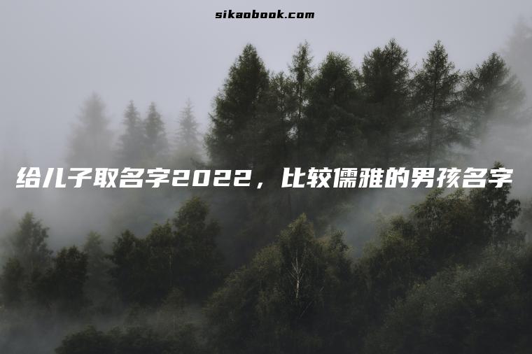 给儿子取名字2022，比较儒雅的男孩名字