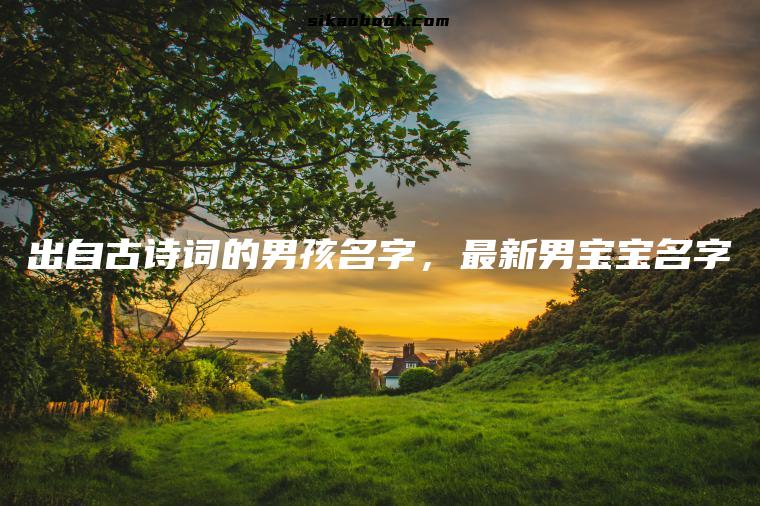 出自古诗词的男孩名字，最新男宝宝名字
